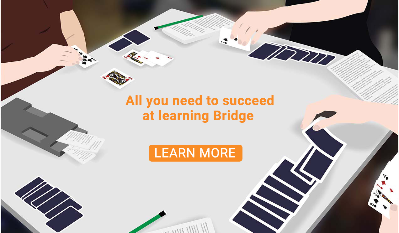 Bridge Lessons Online